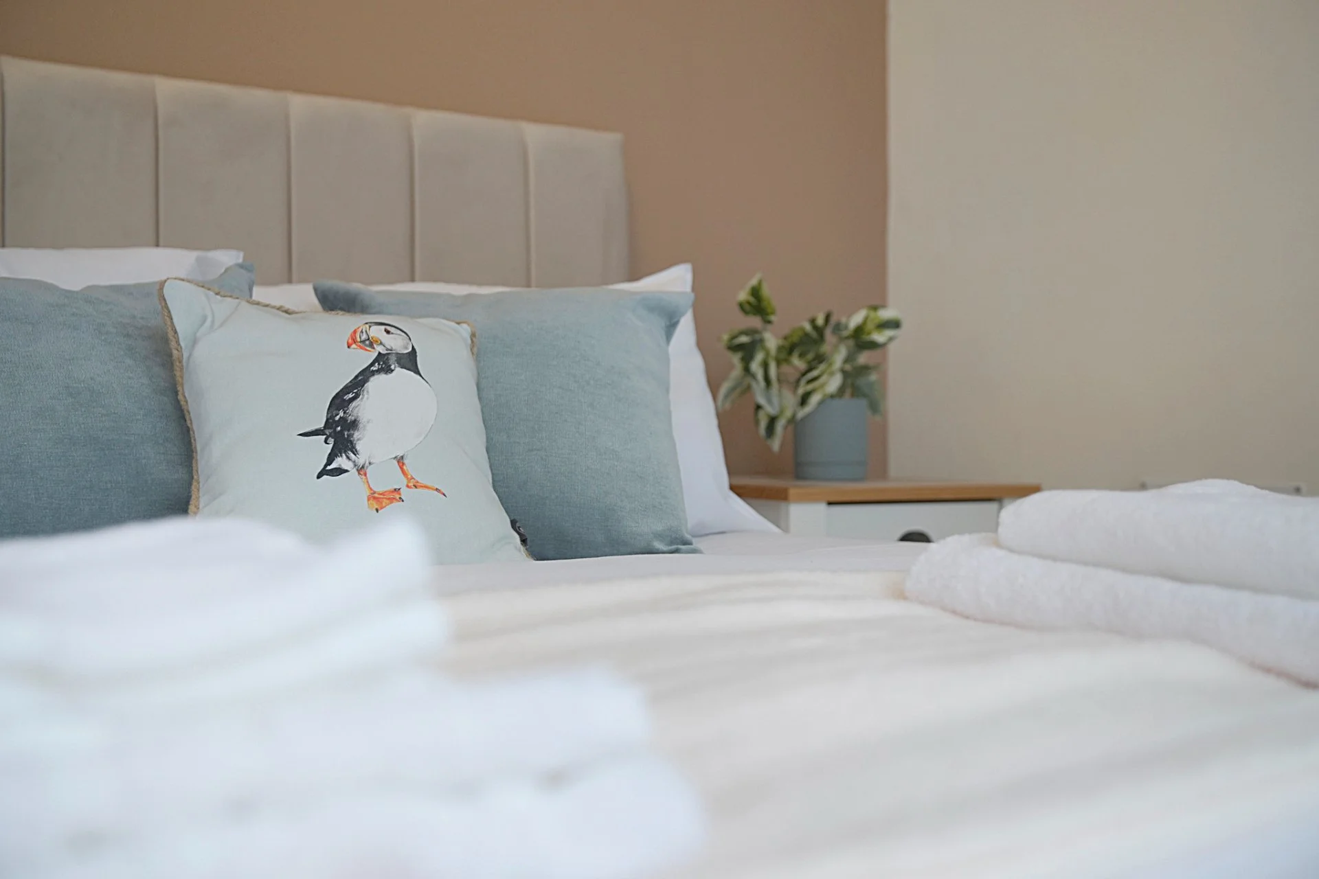 Dom — Redcar — zdjęcie: 8 z serwisu 11