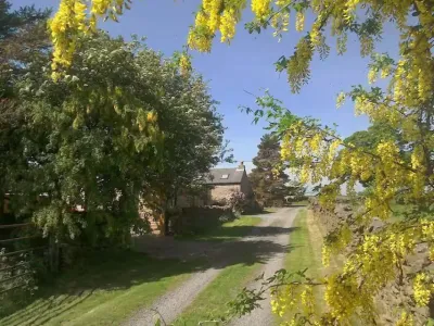 Zobacz zdjęcie 7