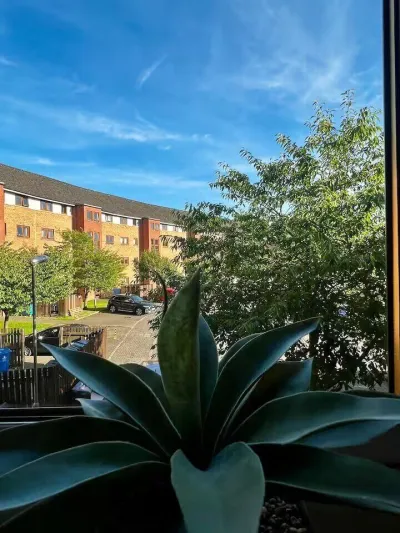 View photo 15